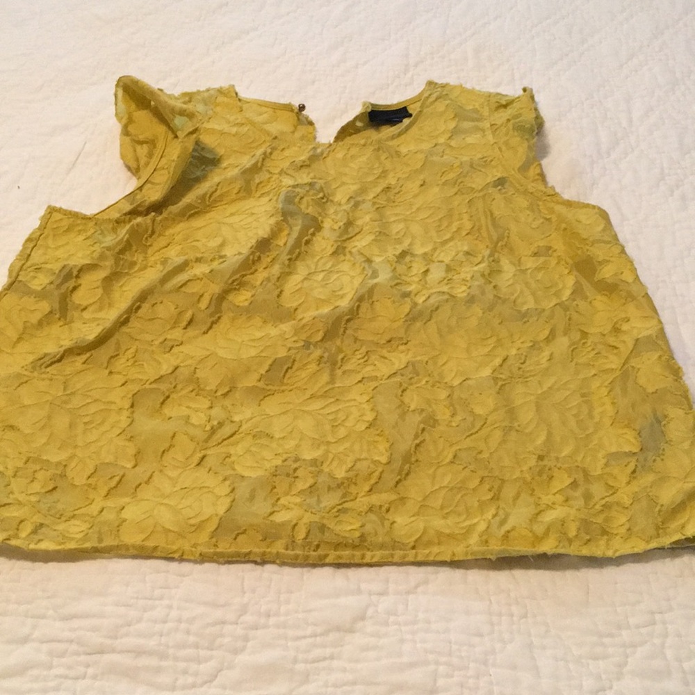 Who what wear flutter sleeve shell from target